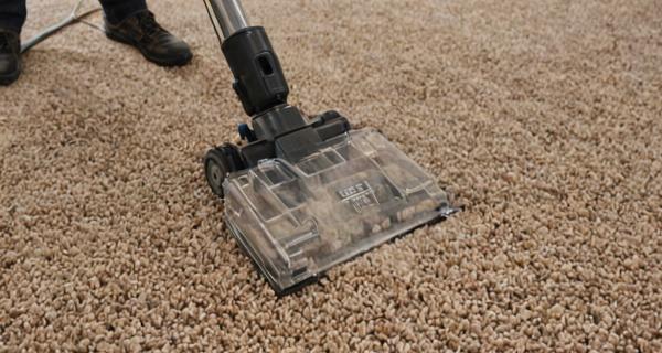 Professional carpet cleaning equipment and process