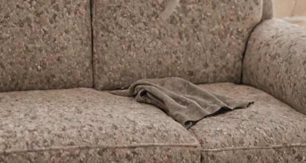 Professional upholstery cleaning service
